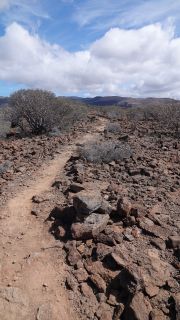 2022-03-GranCan-Taurito-Trekking-PM-NN-51.JPG